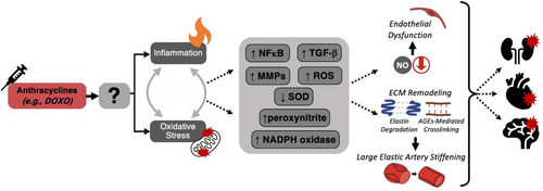 Details are in the caption following the image