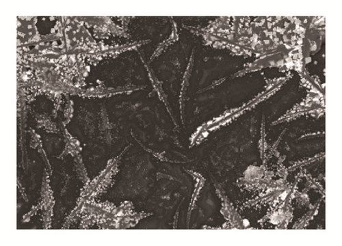 Details are in the caption following the image