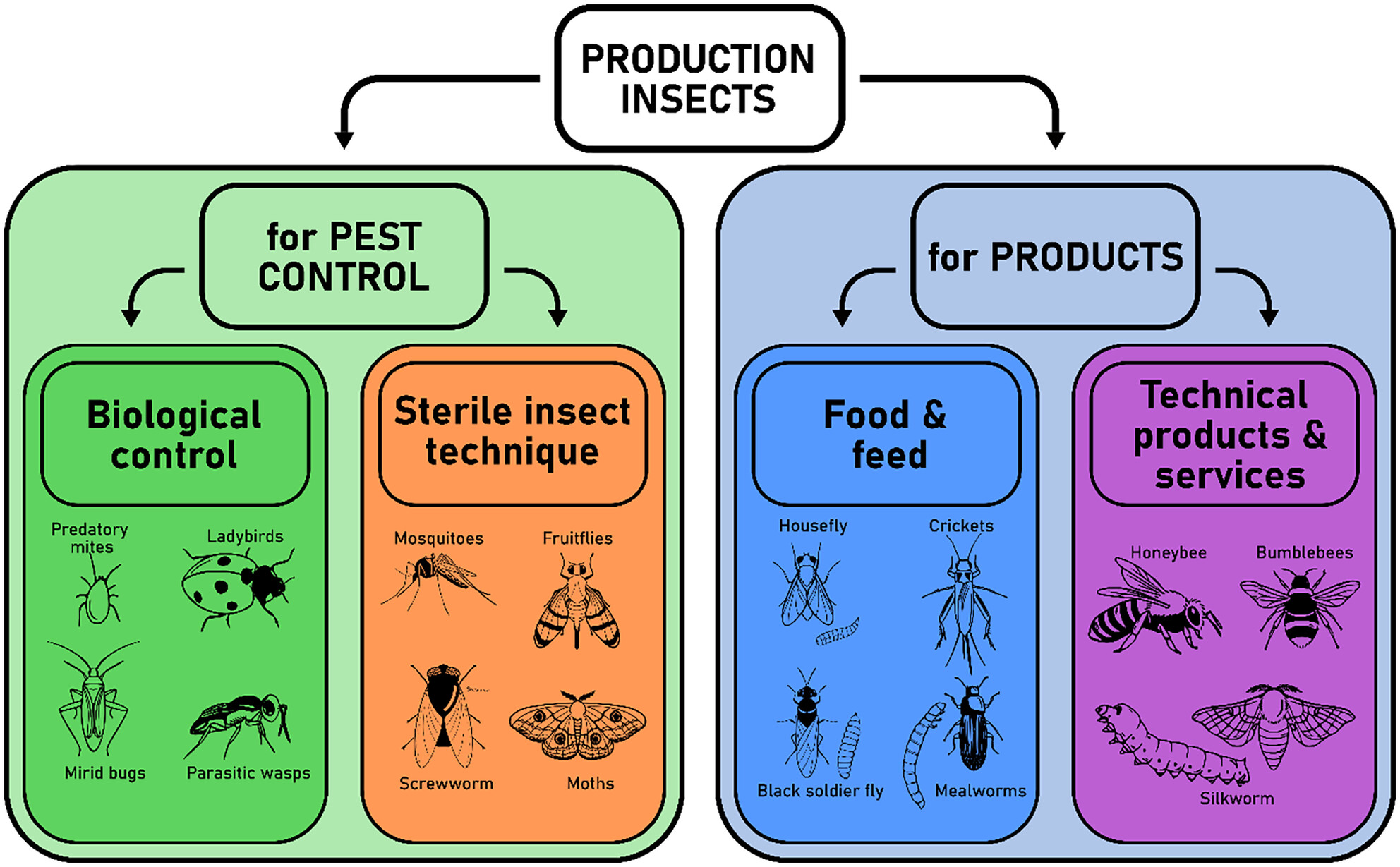 Trait selection in production insects—An introduction to the issue and a review of responses to artificial selection