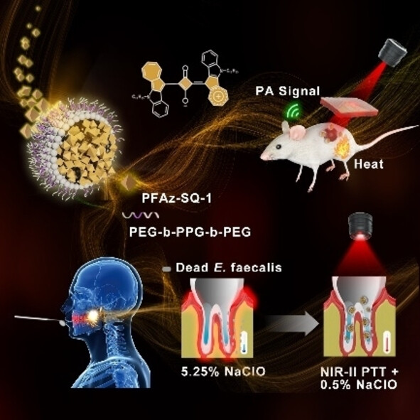 Fused Azulenyl Squaraine Derivatives Improve Phototheranostics in the Second Near-Infrared Window by Concentrating Excited State Energy on Non-Radiative Decay Pathways