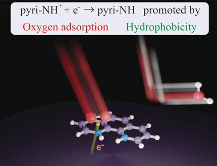 Role of Pyridinic Nitrogen in the Mechanism of the Oxygen Reduction Reaction on Carbon Electrocatalysts