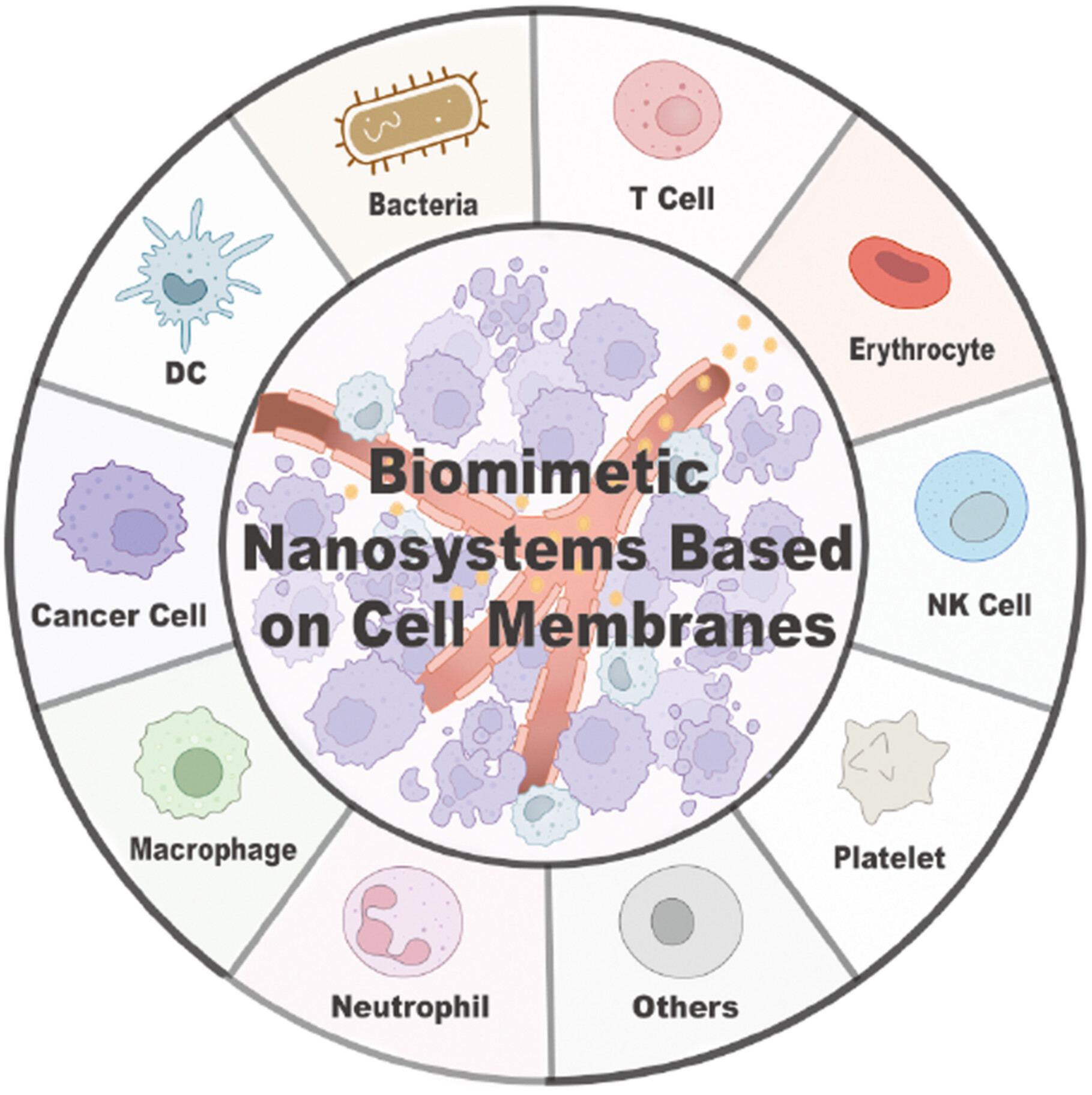 Biomimetic nanosystems based on cell membranes (BNCMs) for cancer immunotherapy