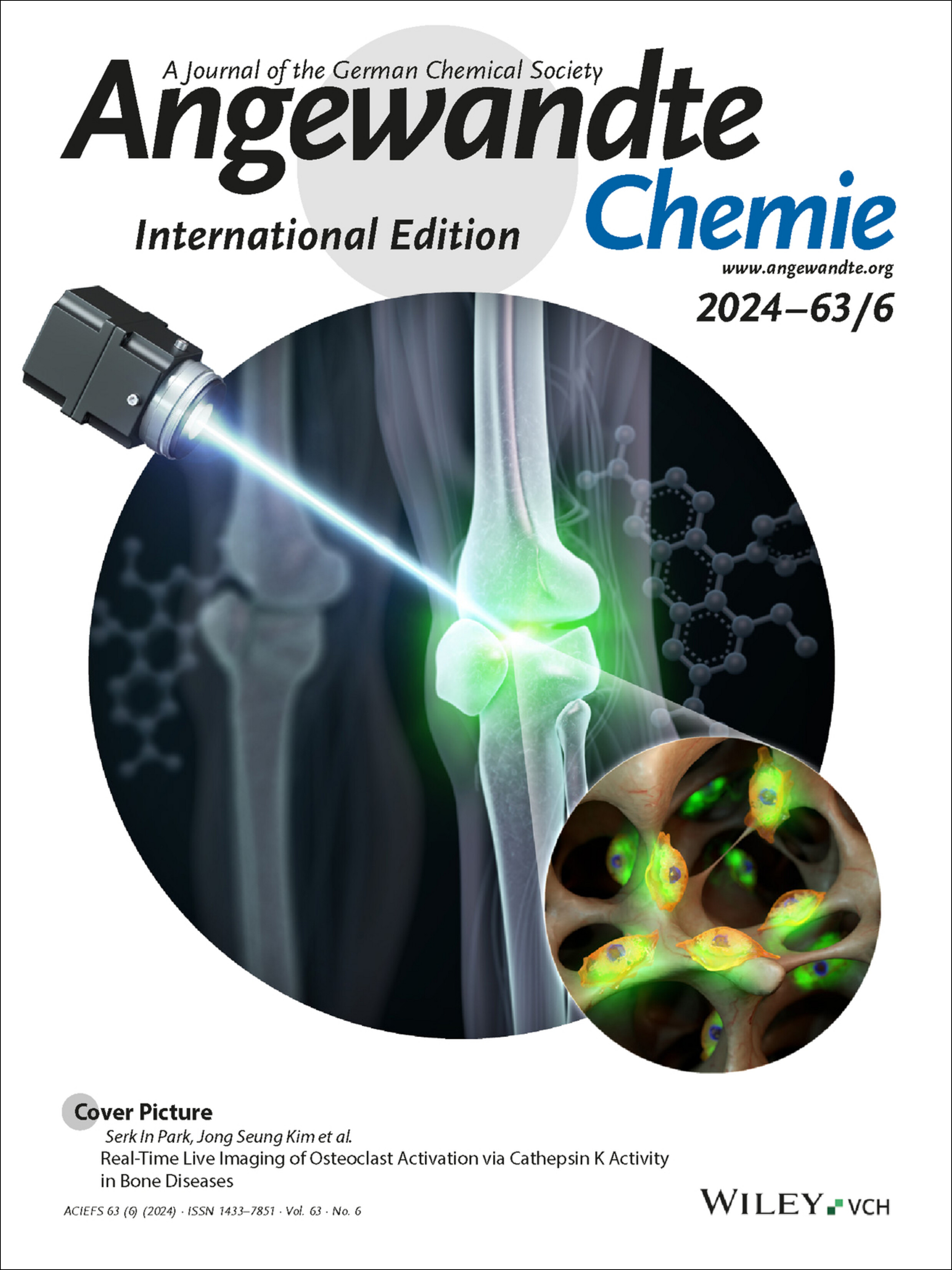 Cover Picture: Real-Time Live Imaging of Osteoclast Activation via Cathepsin K Activity in Bone Diseases (Angew. Chem. Int. Ed. 6/2024) Volume 63 Issue 6, 2024