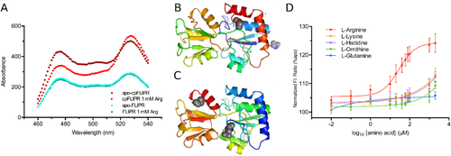 Details are in the caption following the image Details are in the caption following the image