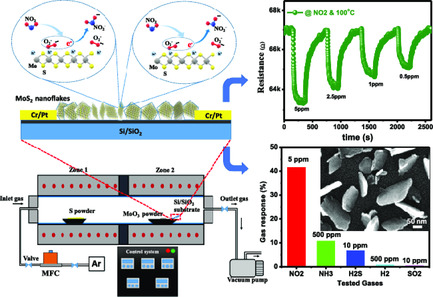 Controlled Growth of Vertically Oriented Trilayer MoS2 Nanoflakes for Room-Temperature NO2 Gas Sensor Applications