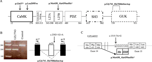 Details are in the caption following the image Details are in the caption following the image