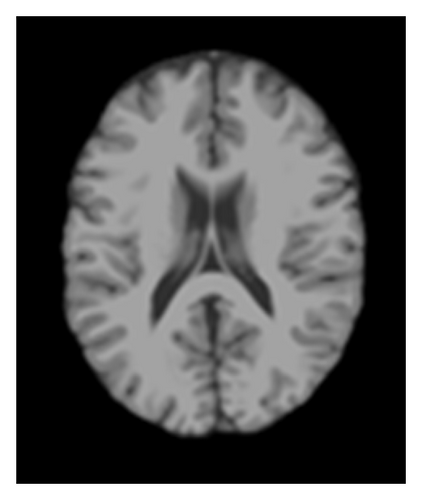 Details are in the caption following the image