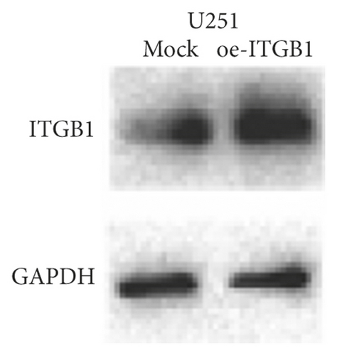 Details are in the caption following the image