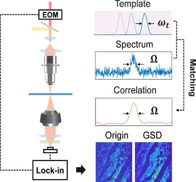 Fast denoising and lossless spectrum extraction in stimulated Raman scattering microscopy