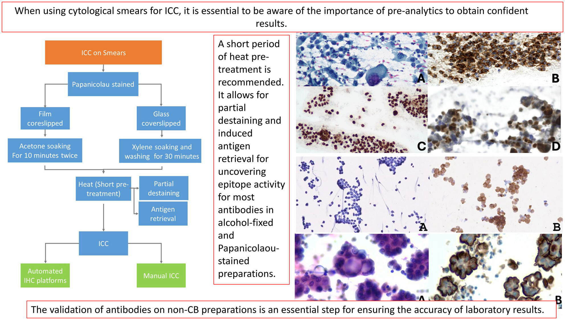 Practical issues related to immunocytochemistry on cytological smears: Tips and recommendations