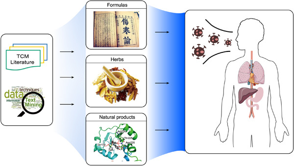 TCM2COVID: A resource of anti-COVID-19 traditional Chinese medicine with effects and mechanisms