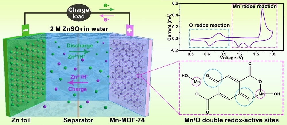 Unlocking Double Redox Reaction of Metal–Organic Framework for Aqueous Zinc-Ion Battery