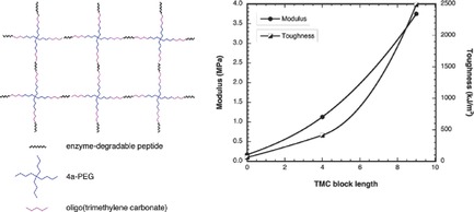 Tough and Enzyme-Degradable Hydrogels