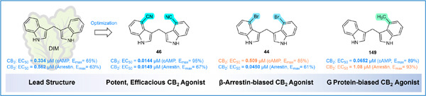 Design, synthesis, and structure–activity relationships of diindolylmethane derivatives as cannabinoid CB2 receptor agonists