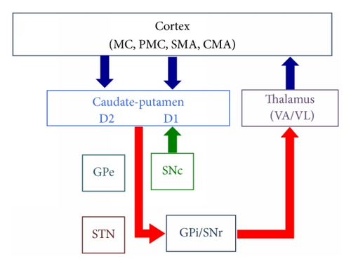 Details are in the caption following the image