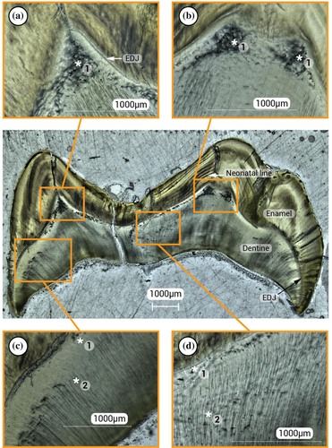 Details are in the caption following the image