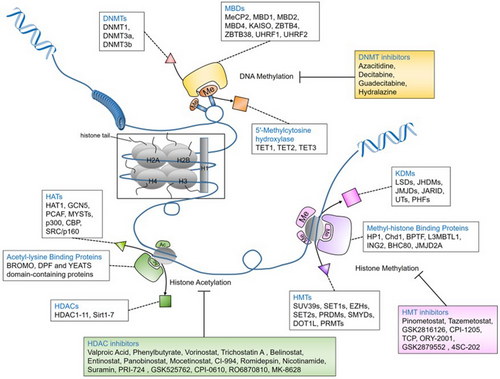 Details are in the caption following the image Details are in the caption following the image
