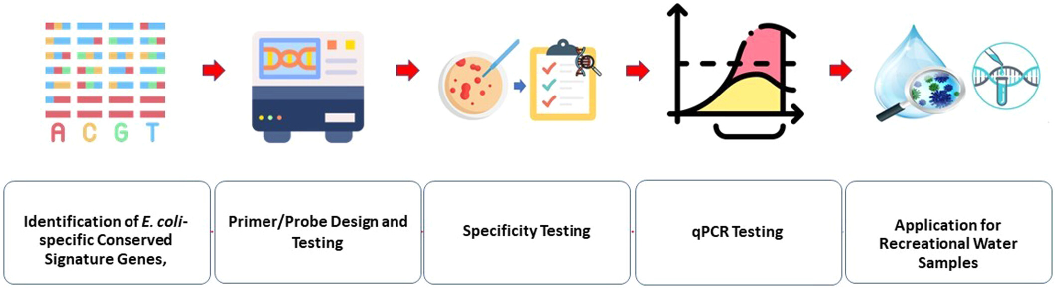 Utilizing novel Escherichia coli-specific conserved signature proteins for enhanced monitoring of recreational water quality