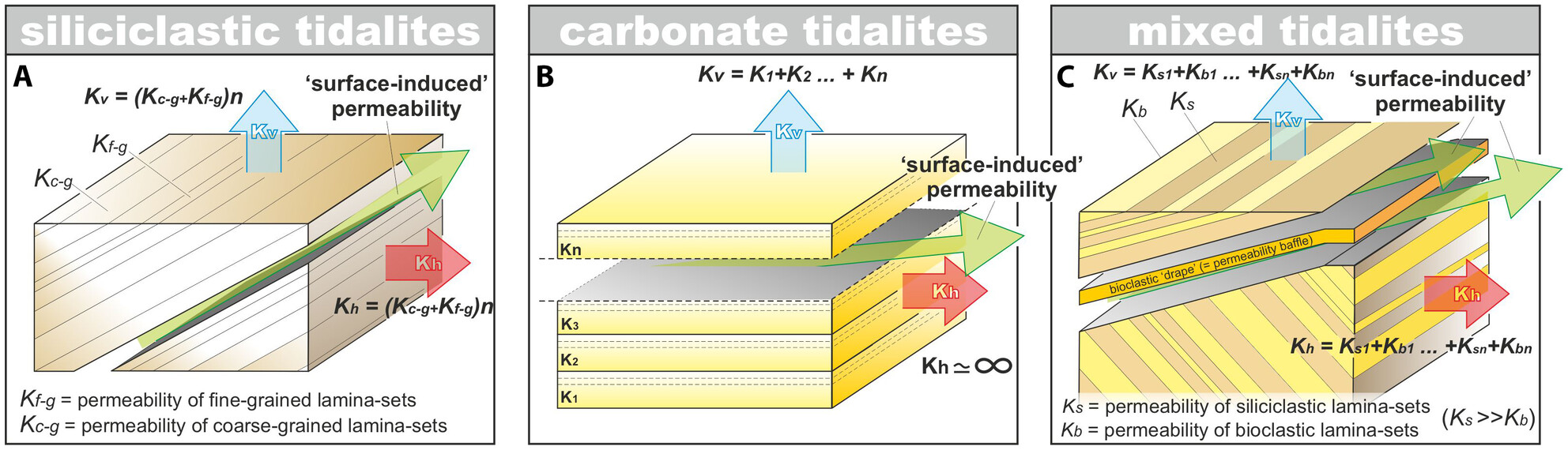 Hierarchies of stratigraphic discontinuity surfaces in siliciclastic, carbonate and mixed siliciclastic-bioclastic tidalites: Implications for fluid migration in reservoir quality assessment