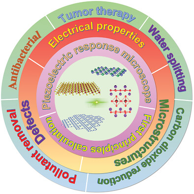 An Emerging Family of Piezocatalysts: 2D Piezoelectric Materials