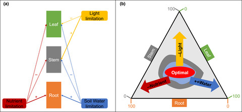 Leveraging plant hydraulics to yield predictive and dynamic plant leaf allocation in vegetation models with climate change