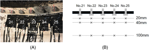 Details are in the caption following the image Details are in the caption following the image