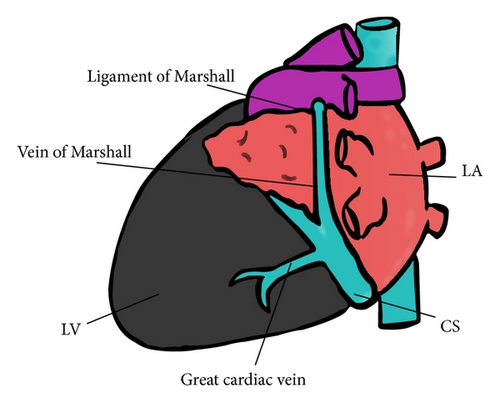 Details are in the caption following the image