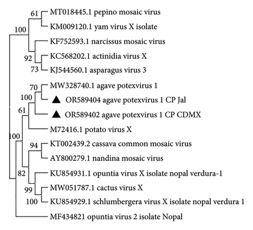Details are in the caption following the image