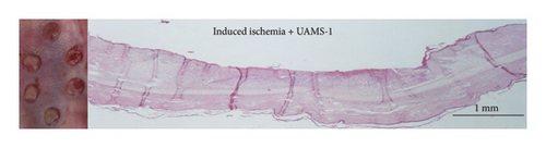 Details are in the caption following the image