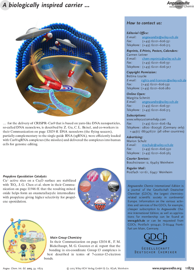 First page image