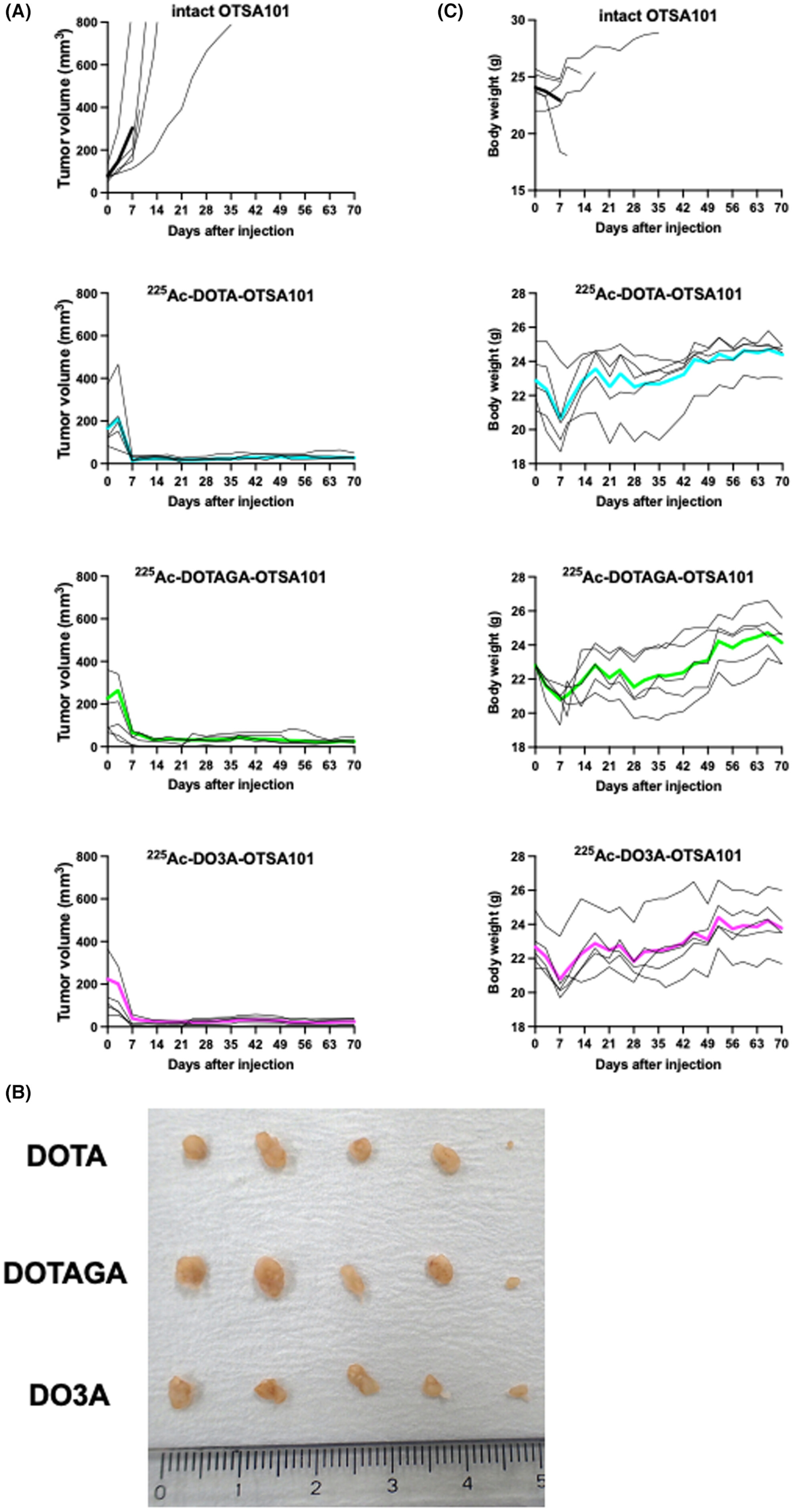 Head-to-head comparison of three chelates reveals DOTAGA promising for 225Ac labeling of anti-FZD10 antibody OTSA101