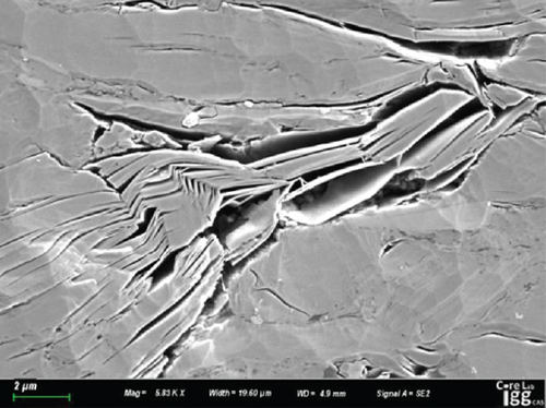 Details are in the caption following the image