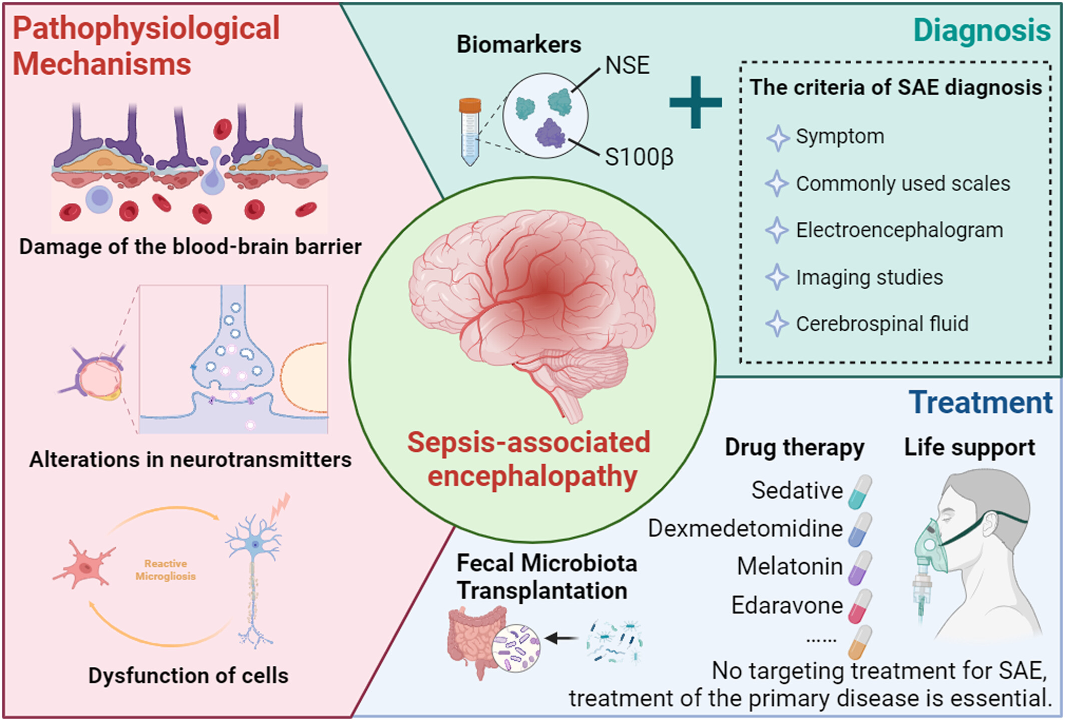 Recent advances in the pathogenesis, diagnosis, and treatment of sepsis-associated encephalopathy