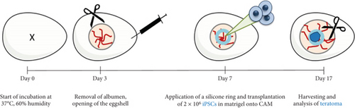 Details are in the caption following the image Details are in the caption following the image