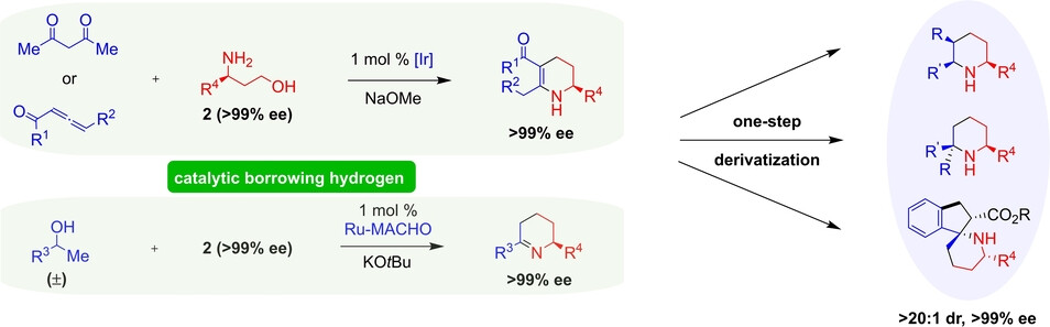 Economical Access to Diverse Enantiopure Tetrahydropyridines and Piperidines Enabled by Catalytic Borrowing Hydrogen