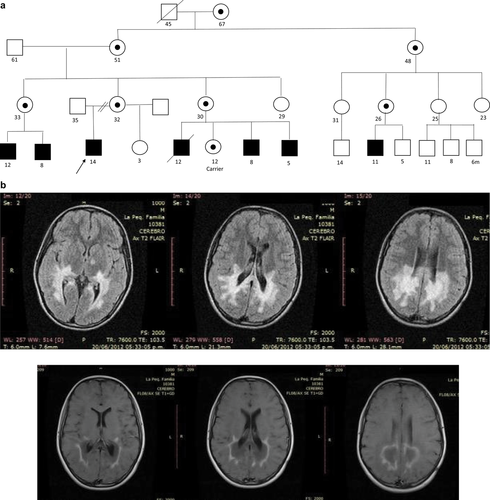 Details are in the caption following the image Details are in the caption following the image