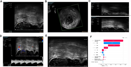 Details are in the caption following the image Details are in the caption following the image