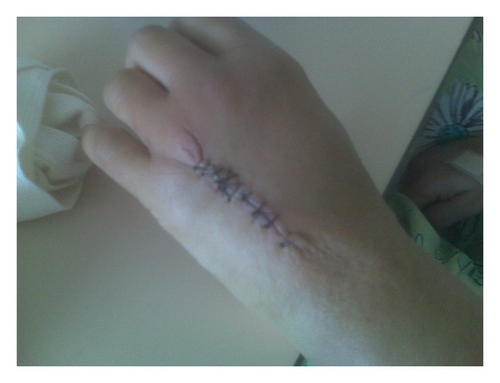 Details are in the caption following the image Details are in the caption following the image