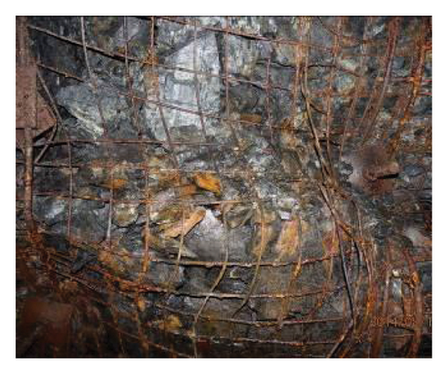 Details are in the caption following the image