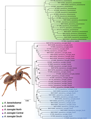 Details are in the caption following the image