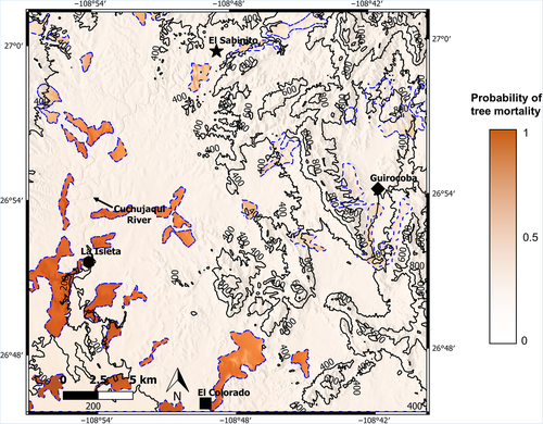 Details are in the caption following the image Details are in the caption following the image
