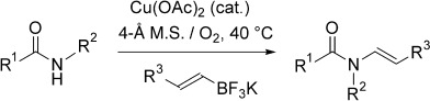 Enamide Synthesis by Copper-Catalyzed Cross-Coupling of Amides and Potassium Alkenyltrifluoroborate Salts