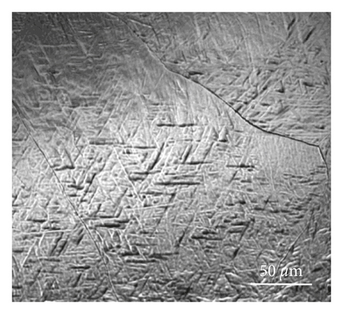 Details are in the caption following the image