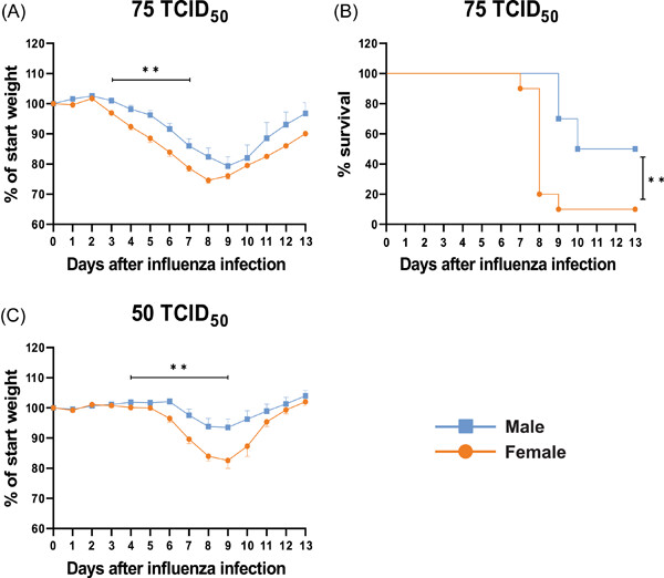 Profiling of innate and adaptive immune cells during influenza virus infection reveals sex bias in invariant natural killer T (iNKT) cells