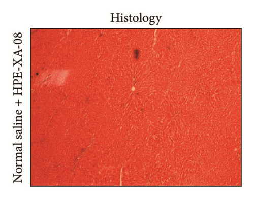 Details are in the caption following the image