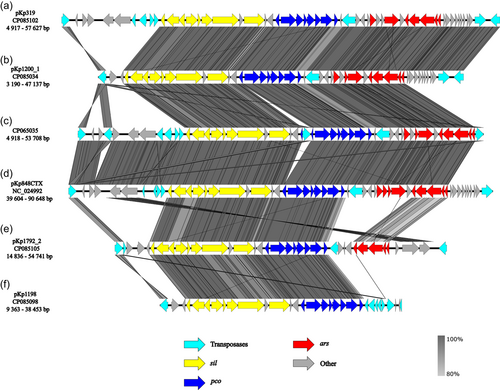 Details are in the caption following the image Details are in the caption following the image