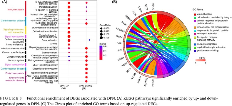 Diagnostic biomarker for type 2 diabetic peripheral neuropathy via comprehensive bioinformatics analysis