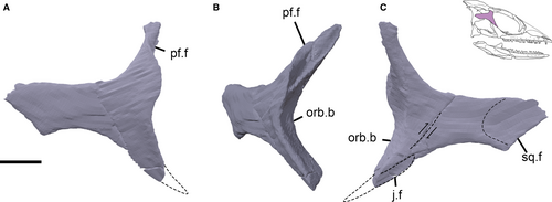 Details are in the caption following the image