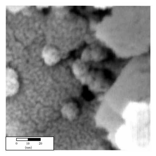 Details are in the caption following the image