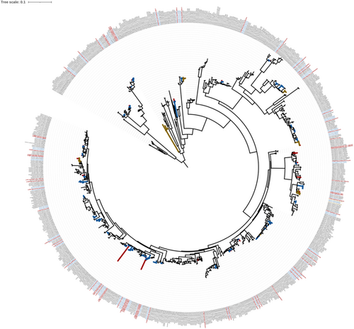 Details are in the caption following the image Details are in the caption following the image